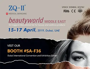 దుబాయ్ ఎగ్జిబిషన్ 4.15-17